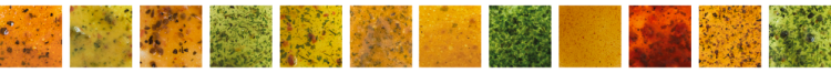 Nuancier de marinades EVA by GBB